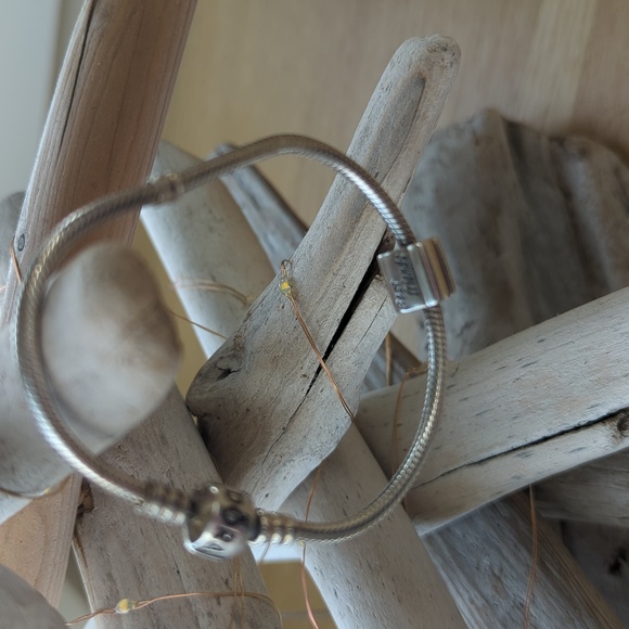 Pandora Bracelet with Best Friends Charm - Picture 5 of 5